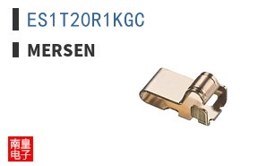 ES1T20R1KGC ͼƬ