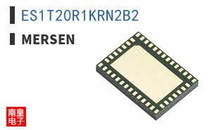 ES1T20R1KRN2B2 ͼƬ