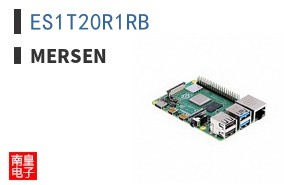 ES1T20R1RB ͼƬ