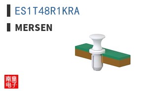 ES1T48R1KRA ͼƬ