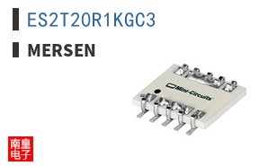 ES2T20R1KGC3 ͼƬ