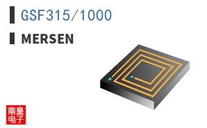 GSF315/1000 ͼƬ