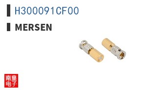 H300091CF00 ͼƬ