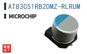 AT83C51RB2DMZ-RLRUM ͼƬ