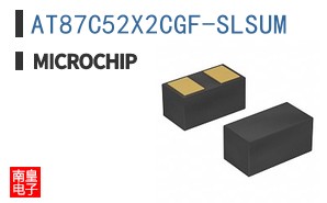 AT87C52X2CGF-SLSUM ͼƬ