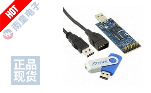AT97SC3205T-SDK2 ͼƬ