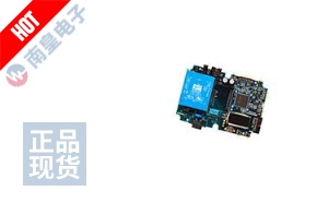 ATSAM4CP16B-EK ͼƬ