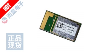 BM20SPKS1NBC-0001AA ͼƬ