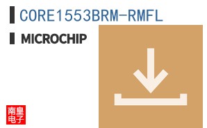 CORE1553BRM-RMFL ͼƬ