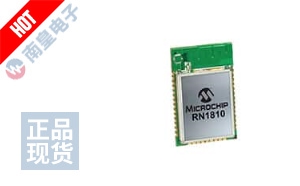 RN1810-I/RM100 ͼƬ