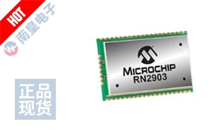 RN2903A-I/RM103 ͼƬ