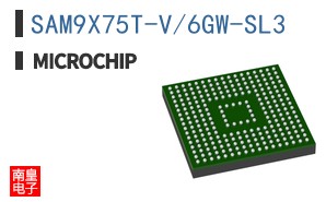 SAM9X75T-V/6GW-SL3 ͼƬ