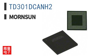 TD301DCANH2 ͼƬ