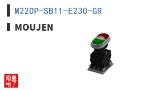 M22DP-SB11-E230-GR ͼƬ