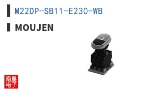 M22DP-SB11-E230-WB ͼƬ