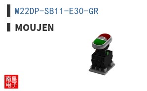 M22DP-SB11-E30-GR ͼƬ
