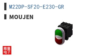 M22DP-SF20-E230-GR ͼƬ