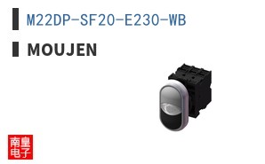 M22DP-SF20-E230-WB ͼƬ