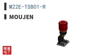 M22E-TSB01-R ͼƬ