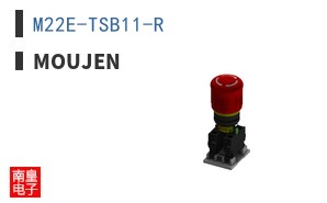 M22E-TSB11-R ͼƬ