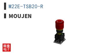 M22E-TSB20-R ͼƬ
