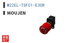 M22EL-TSF01-E30R ͼƬ