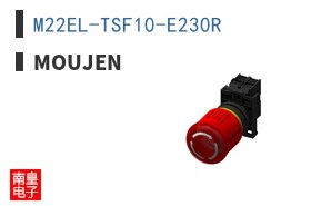 M22EL-TSF10-E230R ͼƬ