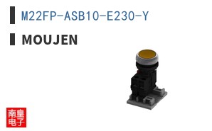 M22FP-ASB10-E230-Y ͼƬ