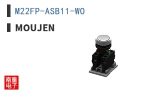 M22FP-ASB11-WO ͼƬ