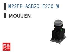 M22FP-ASB20-E230-W ͼƬ