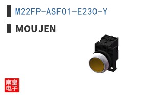 M22FP-ASF01-E230-Y ͼƬ
