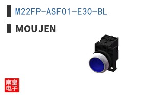 M22FP-ASF01-E30-BL ͼƬ
