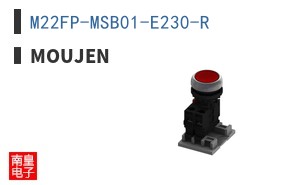 M22FP-MSB01-E230-R ͼƬ