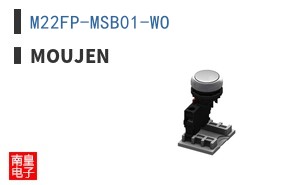M22FP-MSB01-WO ͼƬ