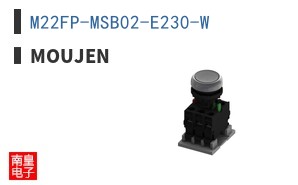 M22FP-MSB02-E230-W ͼƬ