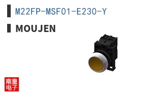 M22FP-MSF01-E230-Y ͼƬ