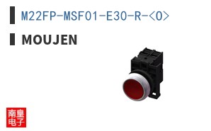 M22FP-MSF01-E30-R-<O> ͼƬ