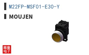 M22FP-MSF01-E30-Y ͼƬ