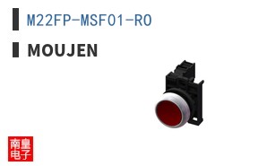 M22FP-MSF01-RO ͼƬ