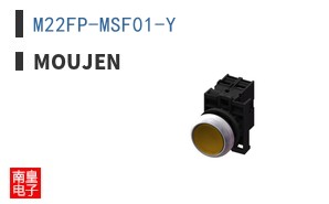 M22FP-MSF01-Y ͼƬ