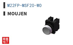 M22FP-MSF20-WO ͼƬ