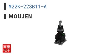 M22K-22SB11-A ͼƬ