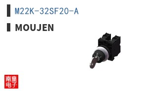M22K-32SF20-A ͼƬ