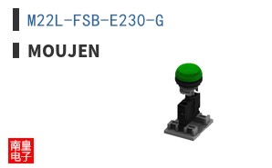 M22L-FSB-E230-G ͼƬ