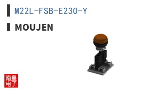 M22L-FSB-E230-Y ͼƬ