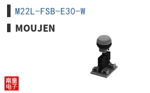 M22L-FSB-E30-W ͼƬ