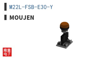 M22L-FSB-E30-Y ͼƬ