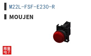 M22L-FSF-E230-R ͼƬ