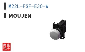 M22L-FSF-E30-W ͼƬ