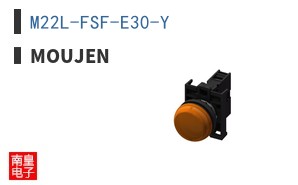 M22L-FSF-E30-Y ͼƬ